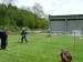 P1050731.jpg